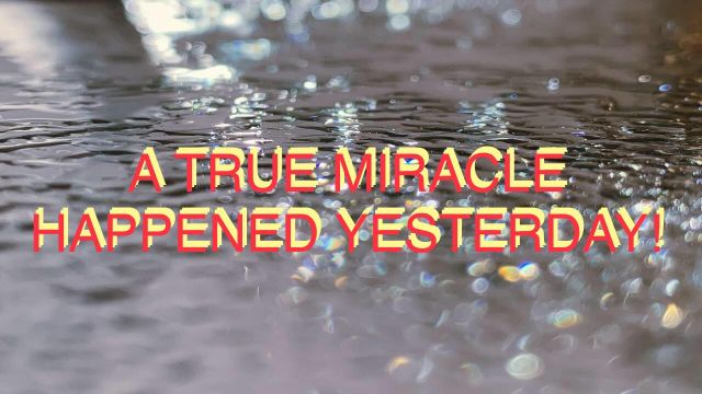 A True Miracle Happened Yesterday- Even During This Very Dark Time!